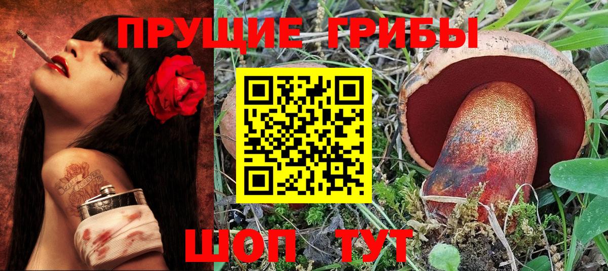 Коломна  Псилоцибиновые грибы Cubensis  Вход с VPN 